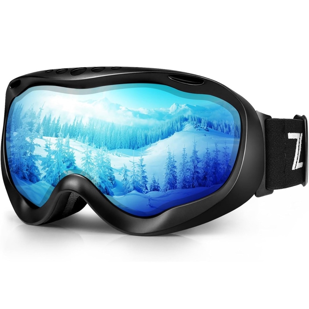 Ski Goggles